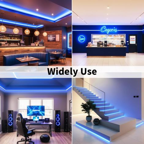 Alimentation LED, 12V, IP65, 300 diodes, finition bleue, résistante à l'eau, flexible.-AquaForge (1/3)