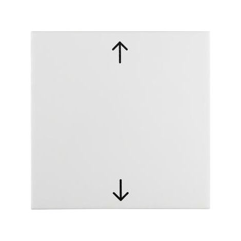 Berker Wippe mit Aufdr Symbol Pfeile S.1 pw 16208919 (1/5)