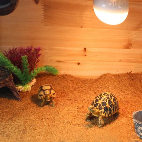 Tapis de sol en fibre de coco pour reptiles, terrarium, cage à lézards, aménagement paysager