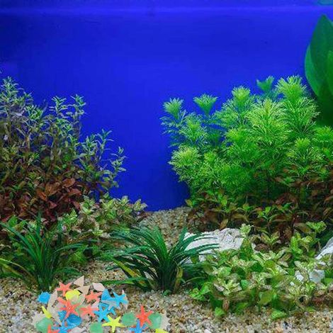 Galets phosphorescents - Pierres de jardin multicolores pour extérieur (1/4)