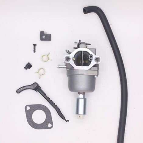 FENOPLASTICALe carburateur H813 convient aux moteurs BRIGGS & STRATTON 799727 et 698620. (1/4)