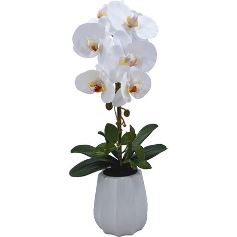 PLANTA PHALENOPSIS C/MACETA CERAMICA