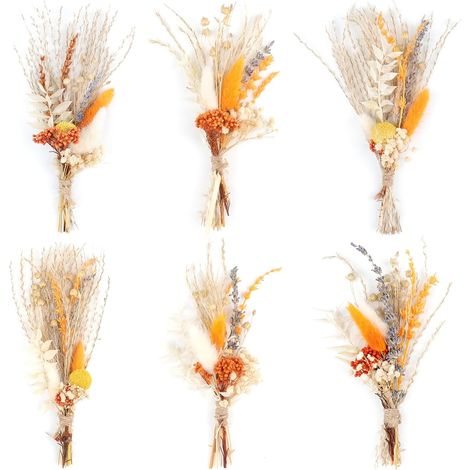 6Pièces Mini Bouquet de Fleurs Sèches Bohème Petit Bouquet Décorations d'automne Décorations Mini Plantes Naturelles pour Mariage Table Centre Boîte Cadeau Gâteau Bouteille Home Vase Artisanat (1/5)