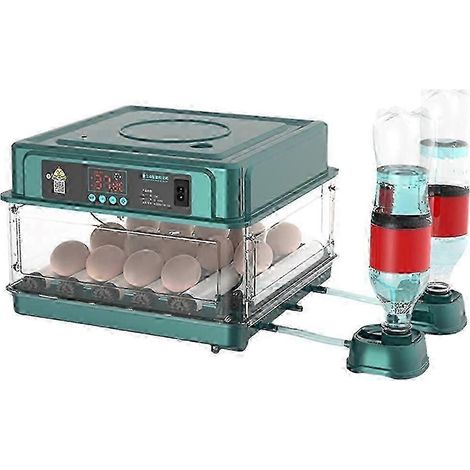 Incubateur automatique à œufs avec contrôle de température et prise australienne WHBYV (1/4)