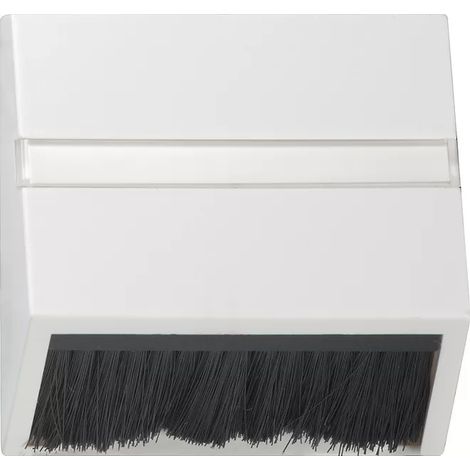 Abdeckplatte Gira rws system55 Thermoplast IP20 (1/2)