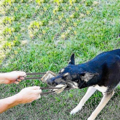 Jouet à mâcher pour chien en jute, extra robuste et durable, jouet interactif (1/5)