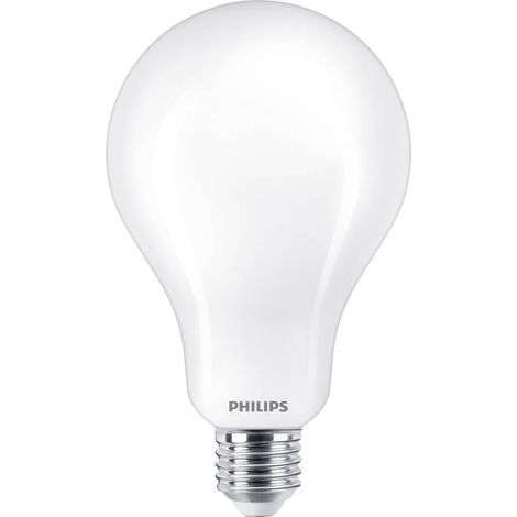Lampadina LED standard E27 23 W 3452 lm 2.700 K luce calda ø9,5 x 16,5 cm (1/5)
