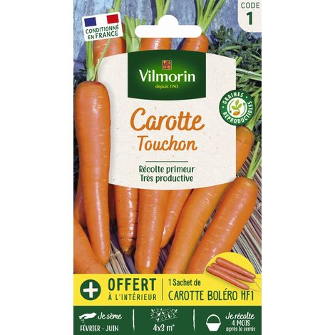 Sachet graines Carotte Touchon (1/2)