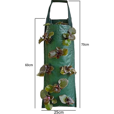 Filiyano-Lot de 3 sacs de culture pour fraisiers, sacs non tissés avec poignées, 8 trous de plantation, jardinière suspendue pour fraisiers et tomates