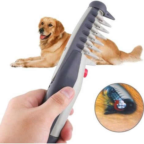 Peigne électrique ultime pour le toilettage des animaux, ciseaux, outil de démêlage, tondeuse (1/3)