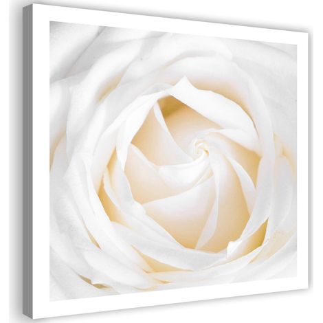 Stampa su tela, Rosa delicata - 30x30 (1/4)