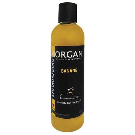 Shampoing protéiné Banane Morgan : 250ml