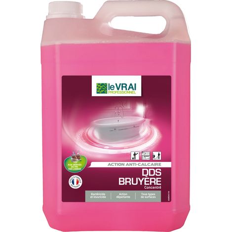 Detergente Disinfettante per Sanitari Bruyère 5l Tp2 - Le Vrai