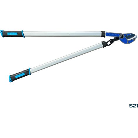 TRONCARAMI MANUALE S21 CAMPAGNOLA