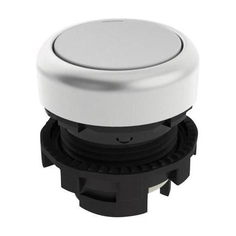 Interruptor Pizzato-elettrica e21pu2r2290 función momentánea IP67