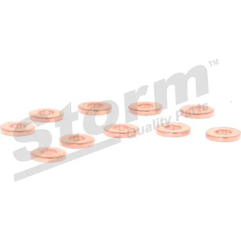 Bague d'étanchéité, porte-injecteur pour BMW X4 55245288 (1/4)