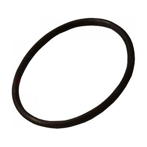 Guarnizione Or 40,95X2,62 3162 Ricambio FAAC 7090360025