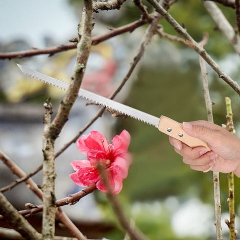 Scie à bonsaï lame étroite 325mm pour jardinage, scie à main petites dents, outil de jardin coupe arbre précis (1/5)