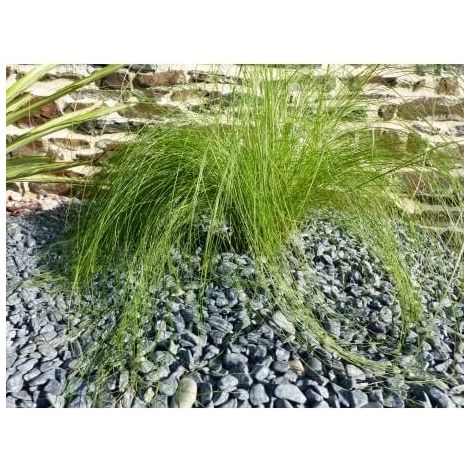 Galet Noir Mat 6-12 Pack de 25 M² - 50 sacs - 1000 kg