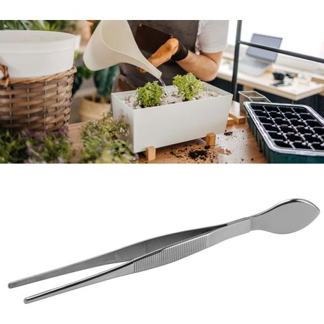 Truelle droite en acier inoxydable pour ameublir et rempoter les bonsaïs pinces courbes pour planter et rempoter les plantes succulentes (1/5)