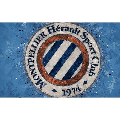 Papier peint panoramique Foot / Football - Montpellier Hérault Sport Club - 130 cm x 81 cm (1/2)