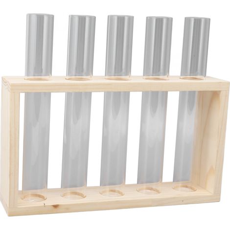Kit de 5 tubes à essai pour terrarium végétal transparent, support en bois pour observer la croissance des plantes aquatiques, idéal pour herbes et boutures (1/5)