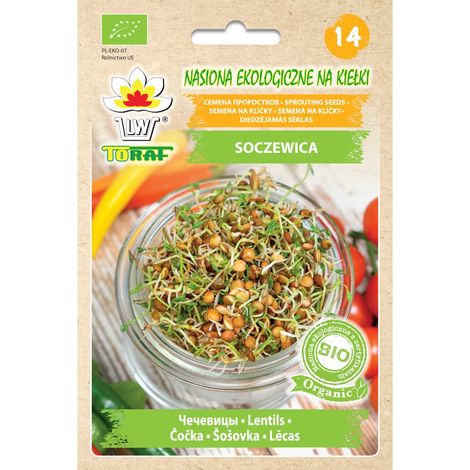 Semi di lenticchie biologici da germogliare - 30 g