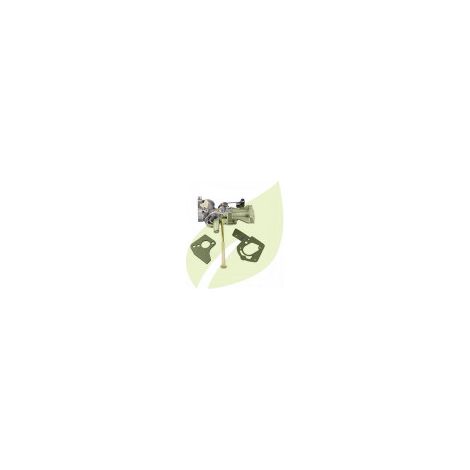 Carburateur Briggs et Stratton 498298 - 490533 - 492611 - 495426 - 495951 - 692784 (1/3)