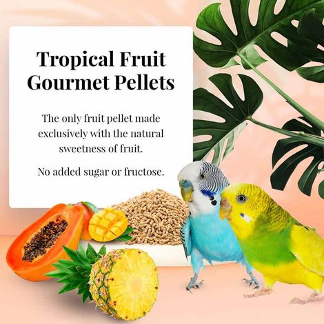 Lafeber Gourmet Pellets - Frutta Tropicale - Parrocchetti - Alimento bilanciato: granuli con frutta per parrocchetti 567 g (1/4)