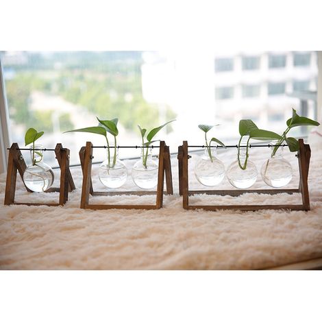 Station de multiplication des plantes avec support en bois, terrarium pour la maison, le bureau, la décoration de bureau, le mobilier de jardin, support en bois, trois bouteilles (1/5)