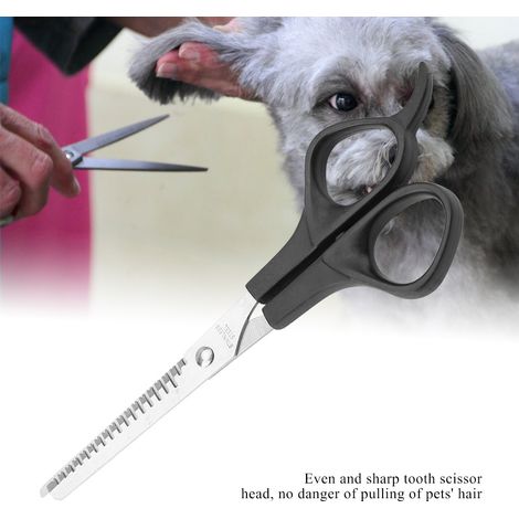 Ensemble de ciseaux de coiffure pour chiens et chats, avec effilage des poils. (1/5)
