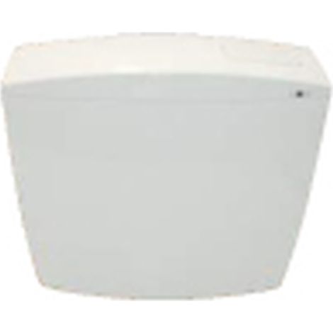 SCELTO DA DESIVERO Cassetta scarico wc Star codice prod: DSV07250 (1/2)