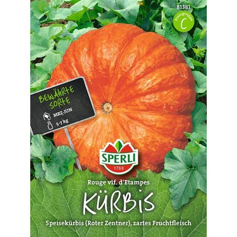 Sperli Kürbis Rouge vif d'Etampes - Gemüsesamen (1/4)