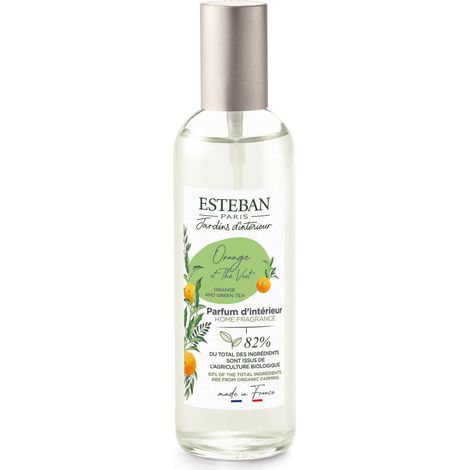 VAPORIZZATORE SPRAY PER AMBIENTE 100ML ARANCIO E TE' VERDE ESTEBAN