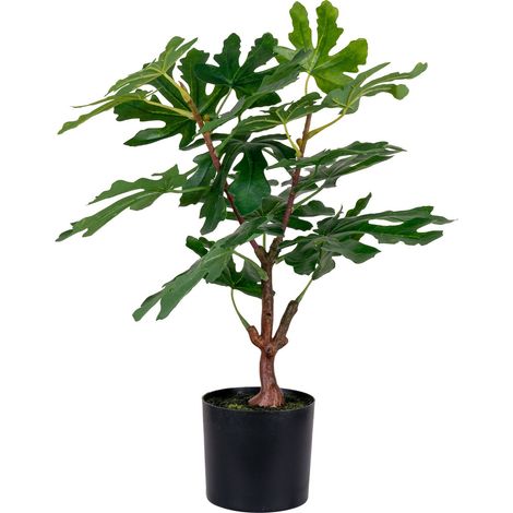 Fico artificiale in vaso Vikasa Home — H 60 cm (1/5)