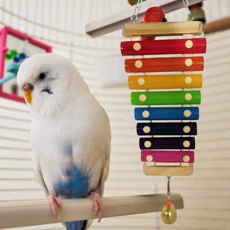 Jouet en bois pour oiseau - Jouet éducatif - Bloc créatif coloré - Jouet intelligent (1/5)