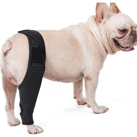 Hunde-Kniebandage Befestigungsbeingurt Oberschenkelschutz (L) Schwarz 1 Stück (1/5)
