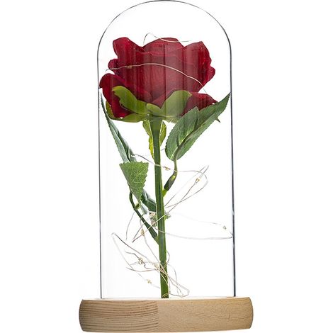 Ensemble de roses enchantées, rose magique de la Belle et la Bête, dôme en verre raffiné avec socle en bois de pin, éclairage LED, cadeau féerique pour Saint-Valentin, anniversaire, mariage, journée d (1/5)