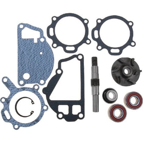 Kit de réparation de pompe à eau VAPORMATIC VPE2073