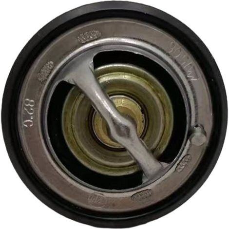 Thermostat LF489Q-1306100A compatible avec les pièces et composants automobiles Lifan 820 (1/3)