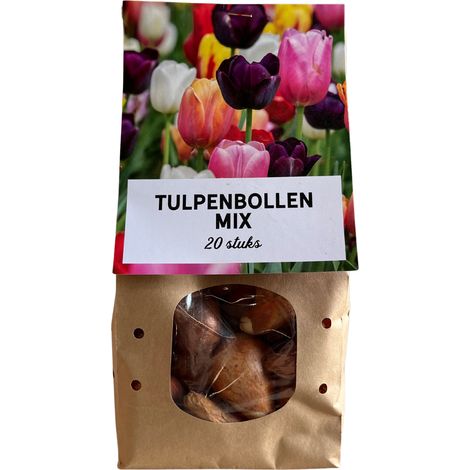 Lot de 300 Bulbes de Tulipes en Mélange de Couleurs pour Jardin - 15 Sachets de 20 - PANGIVO (1/3)