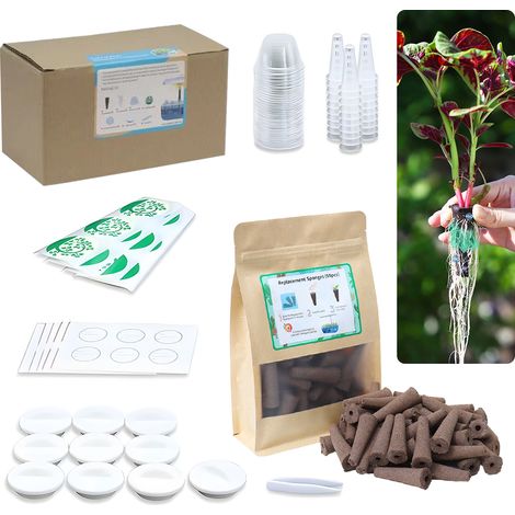 161-teiliges Hydroponik-Anbauset, Hydroponik-Pflanzsystem, erdloser Anbau, 30 Anzuchtschwämme, 30 Anzuchtkörbe, 30 Anzuchtkuppeln, 30 Kapselaufkleber, 30 Anzuchtkuppelaufkleber, 10 Lochabdeckungen, 1