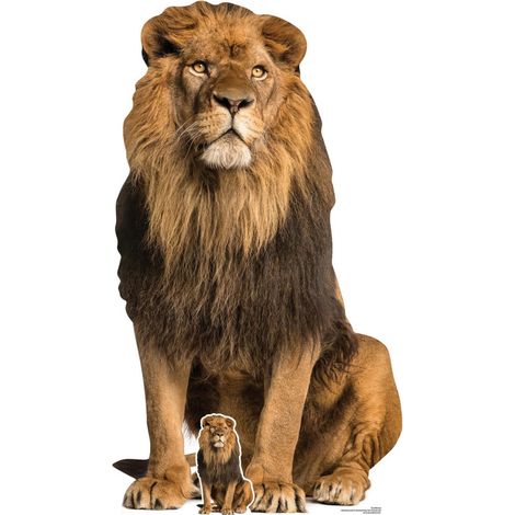 Figurine en carton  Le Lion assis H 155 cm