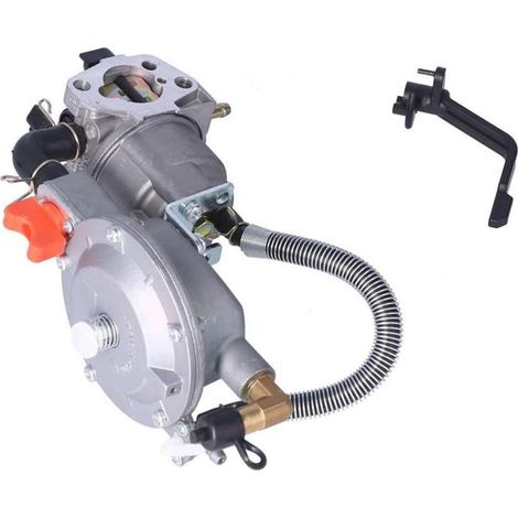 Carburateur multi-carburant pour moteur GX160 GX200 168F 170F 3-5 KW, générateur électrique au gaz liquéfié LPG (1/5)