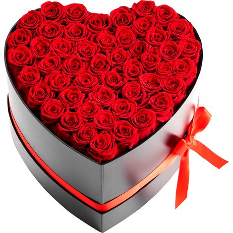 Mophorn 50 Rose Stabilizzate in Scatola a Forma di Cuore, Bouquet di Fiori Eterni, Rosa Eterna Naturale, Ideale per Anniversari, San Valentino, Natale, Rosso (1/5)
