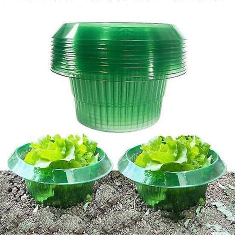 15 cloches de jardin transparentes, protège-plantes anti-limaces, résistantes aux intempéries et réutilisables, protection contre les escargots ( ) (1/5)