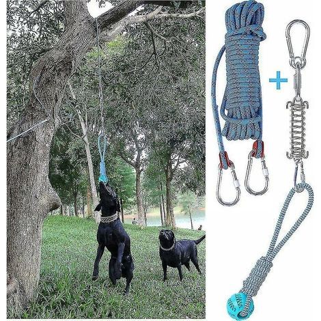 Ensemble de jouets de barre à ressort pour chien exercice suspendu en plein air corde de coton jouet de dent de chien (1/4)