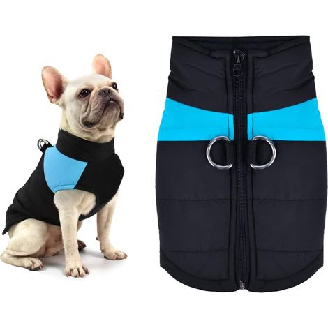 Manteau pour Chien d'hiver Imperméable, Bleu Fluorescent XL Veste Coton Chien Imperméable, Manteau d'hiver pour Chien, Veste pour Animaux de Compagnie