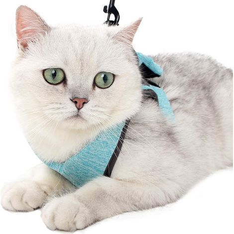 Collier ultraléger pour chaton, doux et confortable, adapté aux promenades de chiens et de jeunes lapins, fabriqué en tissu cationique (vert 2, M). (1/5)