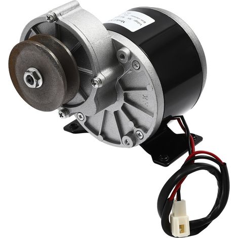 250W Motorreductor Motorreductor Motor cepillado con polea 36VDC (1/5)